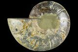 Bargain, Agatized Ammonite Fossil (Half) - Crystal Chambers #111548-1